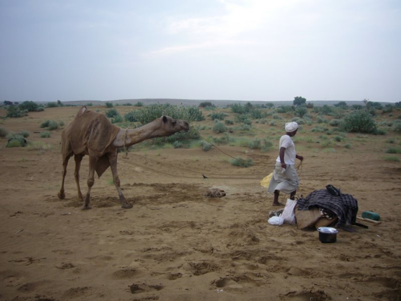 Travel - India - Rajasthan - Desert Camel Trip - Next Morning